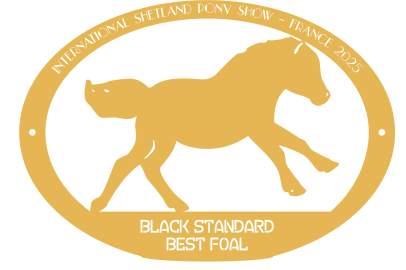 Best Foal  BLACK STANDARD