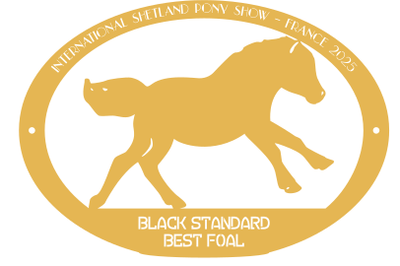 Best Foal  BLACK STANDARD