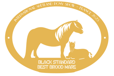Best Brood Mare  BLACK STANDARD
