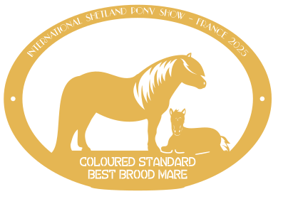 Best Brood Mare  COLOURED STANDARD