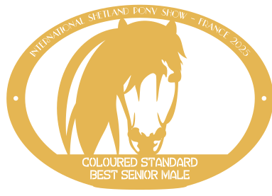 Best Senior Male  COLOURED STANDARD