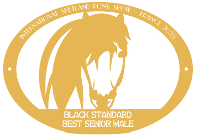 Best Senior Male  BLACK STANDARD