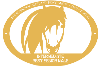 Best Senior Male INTERMEDIATE