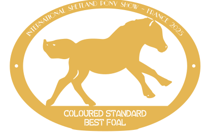Best Foal  COLOURED STANDARD