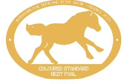 Best Foal  COLOURED STANDARD