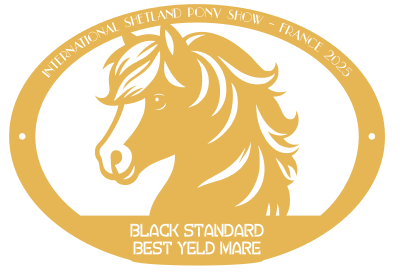Best Yeld Mare BLACK STANDARD