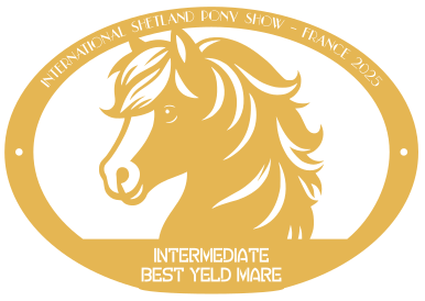 Best Yeld Mare INTERMEDIATE