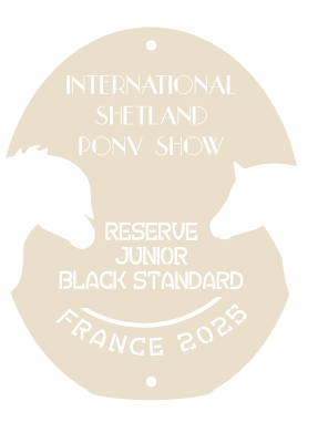Reserve junior  BLACK STANDARD