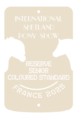 Reserve senior COLOURED STANDARD
