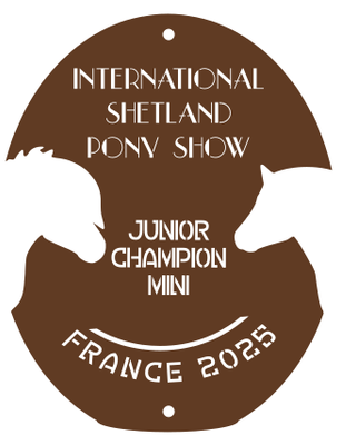 Junior Champion MINI