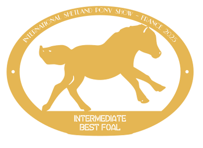 Best Foal INTERMEDIATE