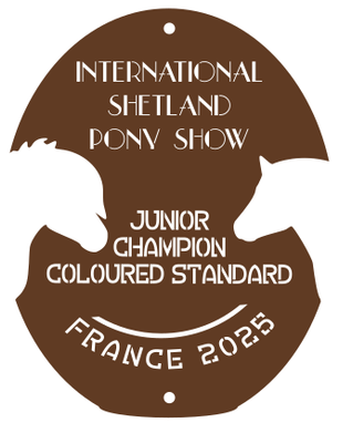 Junior Champion  COLOURED STANDARD