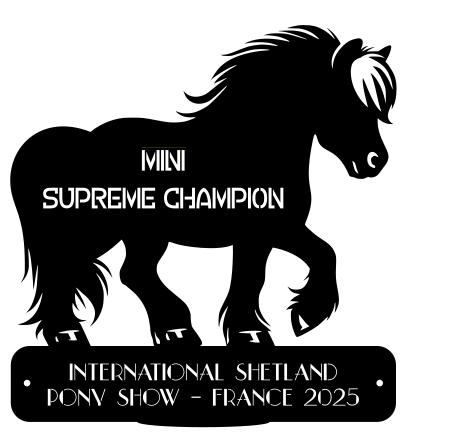 Supreme Champion MINI