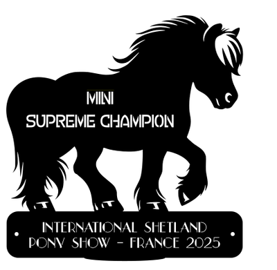 Supreme Champion MINI