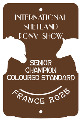 Senior Champion  COLOURED STANDARD