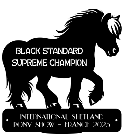 Supreme Champion  BLACK STANDARD