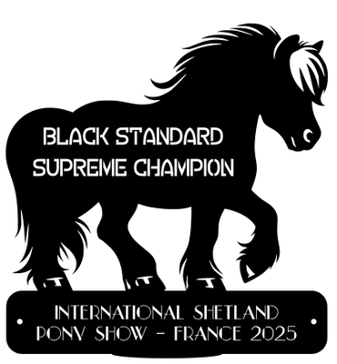 Supreme Champion BLACK STANDARD Supreme Champion BLACK STANDARD