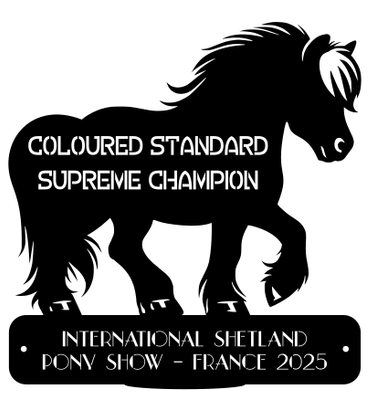 Supreme Champion  COLOURED  STANDARD