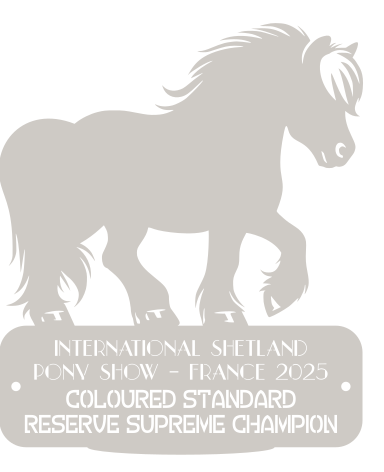 Reserve Supreme Champion  COLOURED  STANDARD