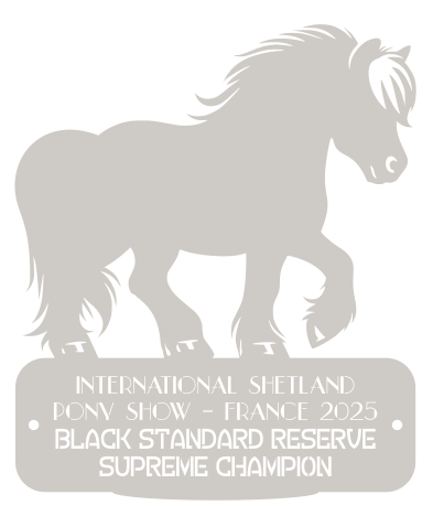Reserve Supreme Champion  BLACK STANDARD