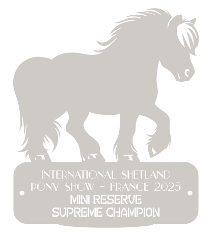 Reserve Supreme Champion  MINI