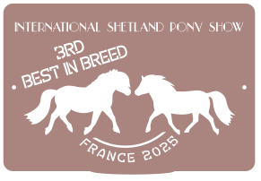 3RD Best in Breed