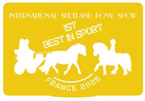 1ST Best in Sport