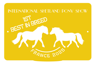 1ST Best in Breed