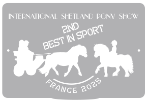 2ND Best in Sport