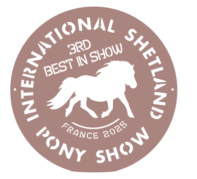 3RD Best in Show