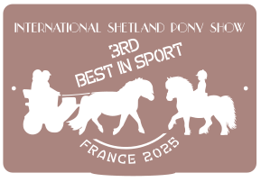 3RD Best in Sport