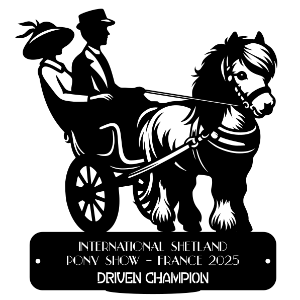 Driven Champion