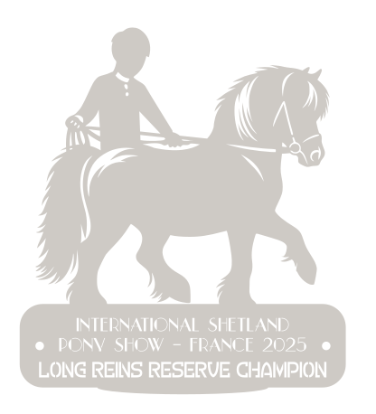 Long Reins Reserve Champion