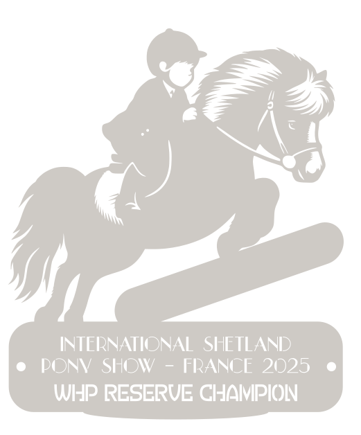 WHP Reserve  Champion