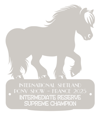 Reserve Supreme Champion  INTERMEDIATE