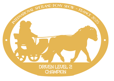 Champion Level 2 Driven