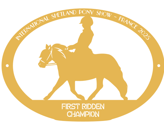 Champion First Ridden