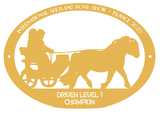 Champion Level 1 Driven
