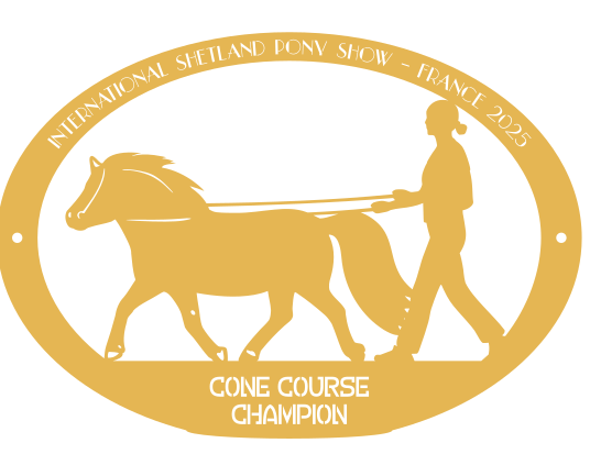 Champion Cone Course