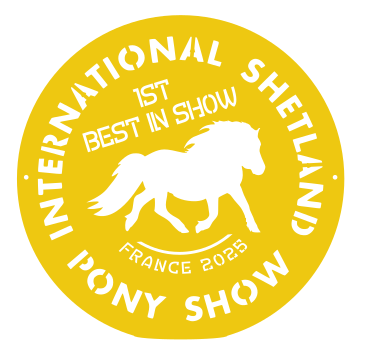 1ST Best in Show