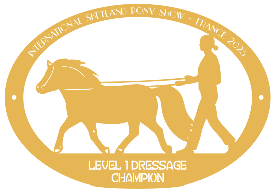 Champion Level 1 Dressage