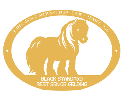 Best Senior gelding  BLACK STANDARD