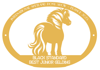Best Junior gelding  BLACK STANDARD