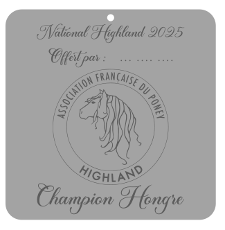 Champion Hongre