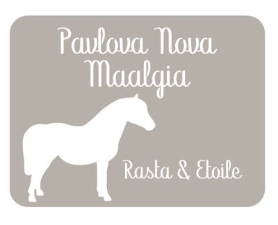 Plaque poney 2