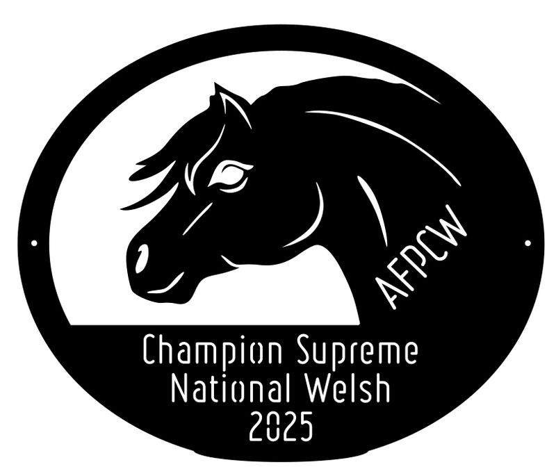 National Welsh Lignières 2025 - Champion Suprême