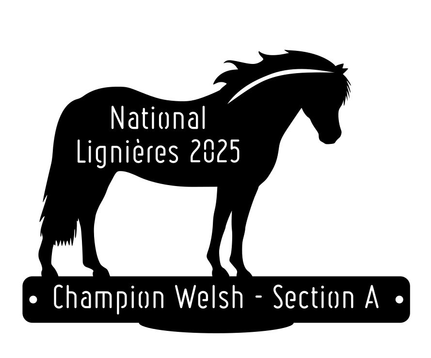 National Welsh Lignières 2025 - Champion Section A