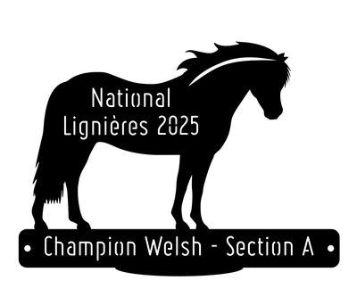 National Welsh Lignières 2025 - Champion Section A