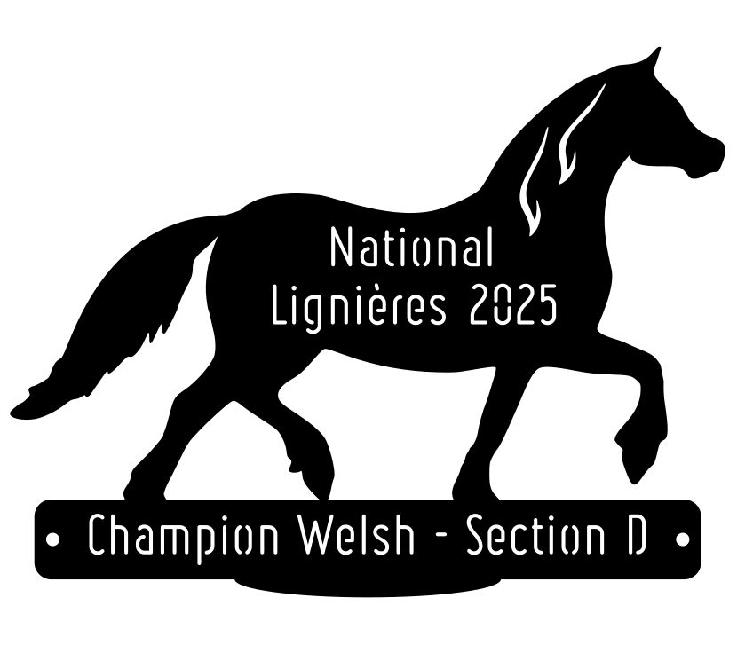 National Welsh Lignières 2025 - Champion Section D