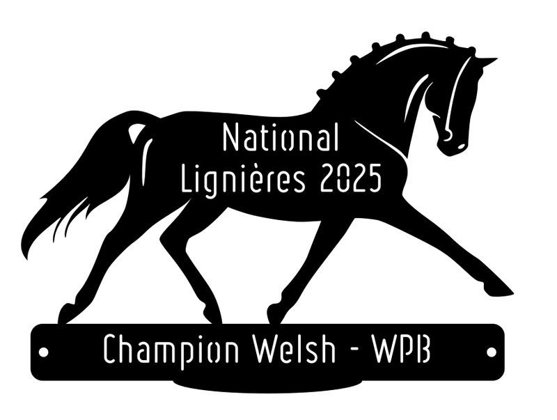 National Welsh Lignières 2025 - Champion WPB